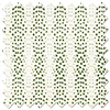 Orchard, Coriscon - Roller Blind